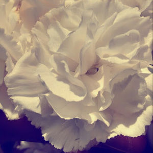 Meet your Posher, Asia